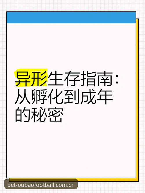 半小时闪电停赛规则下，法国比赛改期风险生存指南